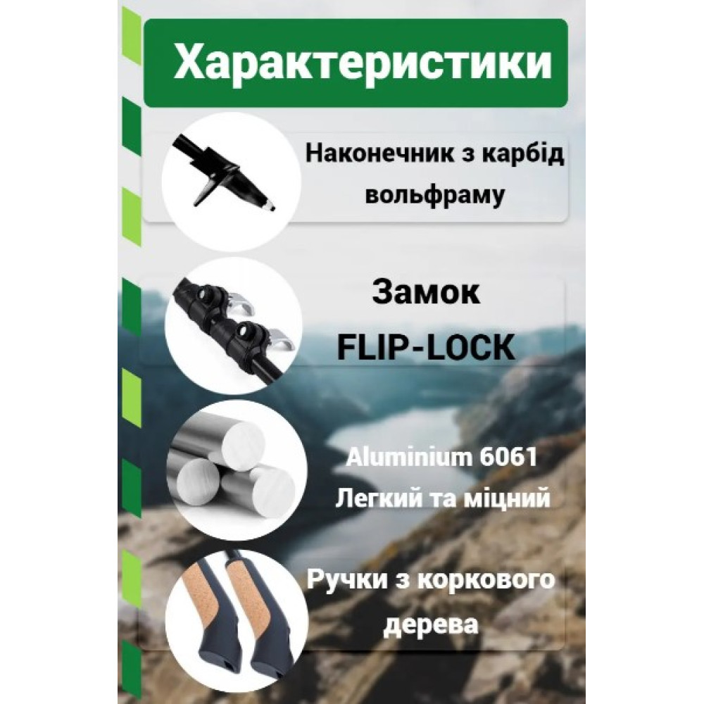 Палки для скандинавской ходьбы PowerPlay 9104 Lykke 80-135 см Black/Green (пара) (PP_9104_LYKKE)