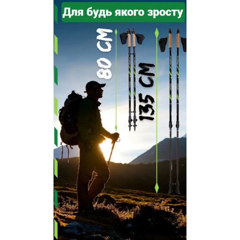 Палки для скандинавской ходьбы PowerPlay 9104 Lykke 80-135 см Black/Green (пара) (PP_9104_LYKKE)