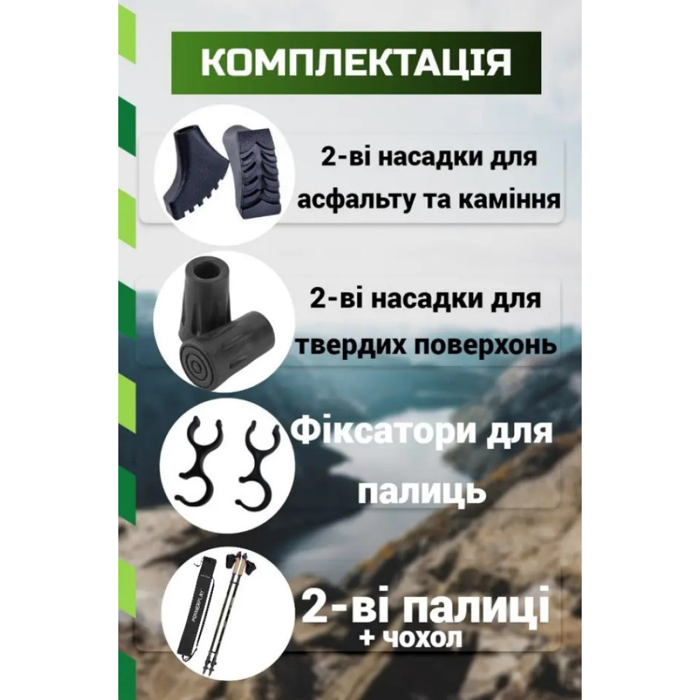 Палки для скандинавской ходьбы PowerPlay 9111 Lykke Green 80-135 см (пара) + 2-и пары сапог + чехол (PP_9111_Green)