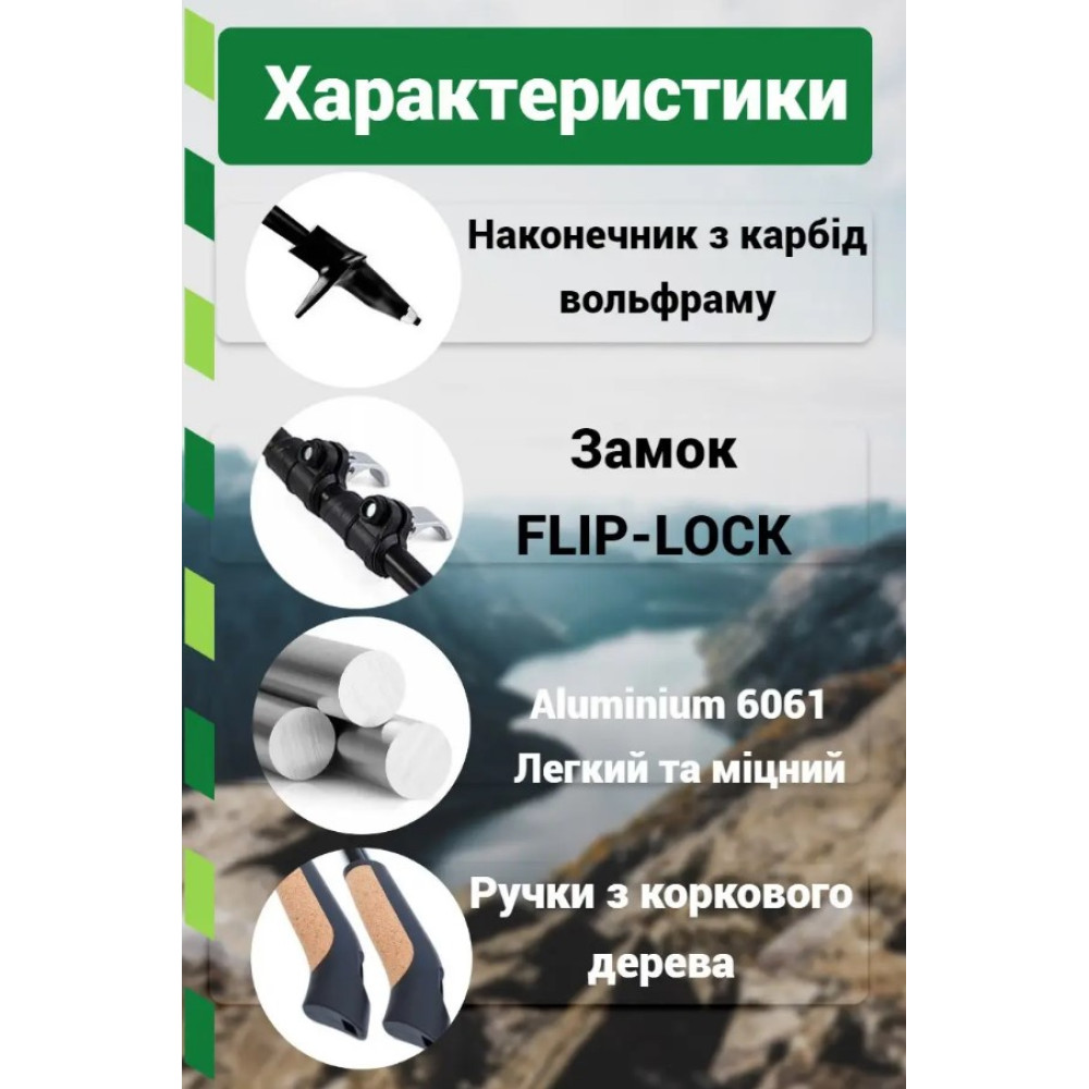 Палки для скандинавской ходьбы PowerPlay 9111 Lykke Green 80-135 см (пара) + 2-и пары сапог + чехол (PP_9111_Green)