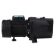 Насос поверхневий відцентровий Pumpman TJSW/10M Нmax 34 м Qmax 4,2 куб.м 0,75 кВт (CV029757)
