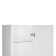 Пенал підвісний Qtap Robin 350х1650х316 WHITE/WHITISH OAK QT1376PP1651RWWO