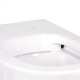 Унітаз підлоговий Qtap Swan безободковий з сидінням Soft-close QT16223178W