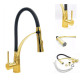 Змішувач для кухні Rea Gaspar black/l.gold (REA-B1019)