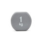Гантелі Reebok Dumbbells сірий Уні 1 кг RAWT-16151