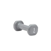 Гантелі Reebok Dumbbells сірий Уні 1 кг RAWT-16151