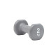 Гантелі Reebok Dumbbells сірий Уні 2 кг RAWT-16152