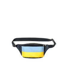 Сумка бананка Sambag TIRSO MSH 80111611