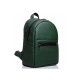 Жіночий рюкзак Sambag Dali BPT зелений 35 х 25 х 12 см (15378007)