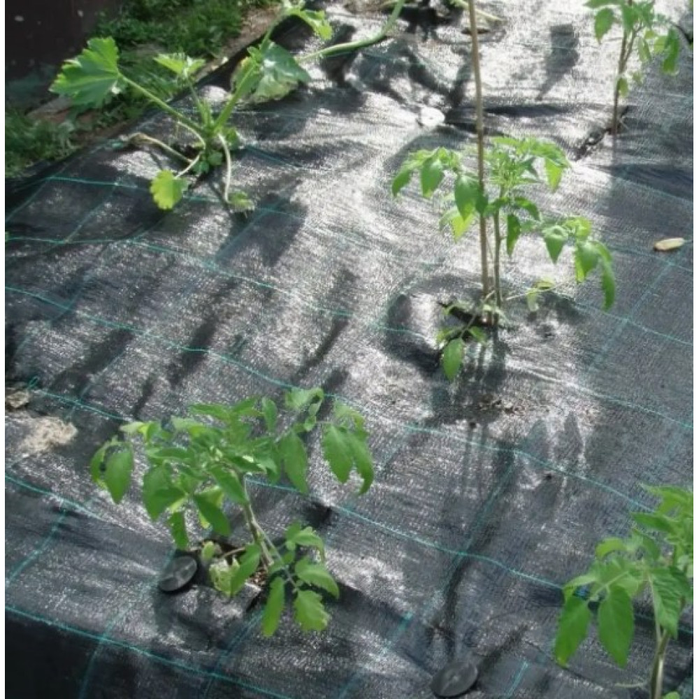 Агроткань Shadow 100 г/м² 1,1 x 50 м АТЧ000012