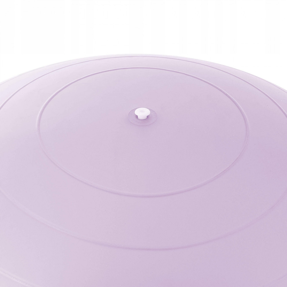 М'яч для фітнесу (фітбол) SportVida 65 см Anti-Burst Violet (FB0011)