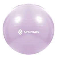 М'яч для фітнесу (фітбол) SportVida 65 см Anti-Burst Violet (FB0011)