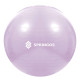 М'яч для фітнесу (фітбол) SportVida 65 см Anti-Burst Violet (FB0011)