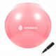 М'яч для фітнесу (фітбол) SportVida 75 см Anti-Burst Pink (FB0012)