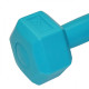 Гантели SportVida 2 x 1 кг (SV-HK0217)