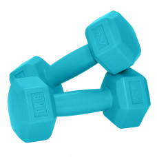 Гантели SportVida 2 x 1 кг (SV-HK0217)