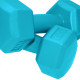 Гантели SportVida 2 x 1 кг (SV-HK0217)