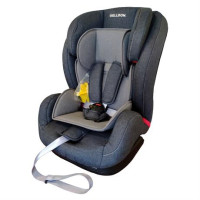 Автокресло Welldon Encore Isofix (графитовый/серый) BS07-TT01-005 (BS07-TT95-001)