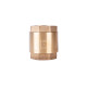 Зворотний клапан SD Plus з латунним штоком 2" SD240W50