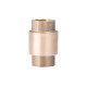 Зворотний клапан SD Forte 1/2" SF240W15