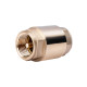 Зворотний клапан SD Forte 1" EURO SF247W25